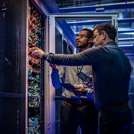 SHARE – Supporting and structuring Healthgrid Activities and Research in Europe: developing a roadmap